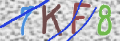 キャプチャ画像