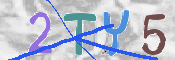 キャプチャ画像