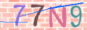 キャプチャ画像