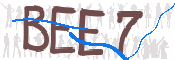 キャプチャ画像