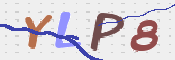 キャプチャ画像