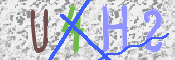 キャプチャ画像