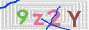 キャプチャ画像