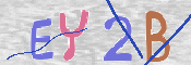 キャプチャ画像