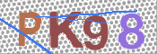 キャプチャ画像