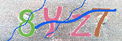 キャプチャ画像