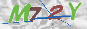 キャプチャ画像