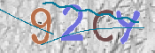 キャプチャ画像