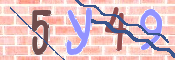 キャプチャ画像