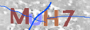 キャプチャ画像