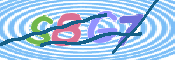 キャプチャ画像