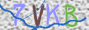 キャプチャ画像