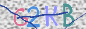 キャプチャ画像