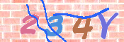 キャプチャ画像