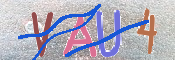 キャプチャ画像