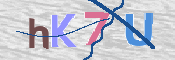 キャプチャ画像