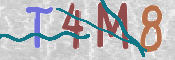 キャプチャ画像
