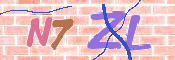 キャプチャ画像