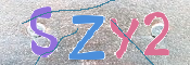 キャプチャ画像