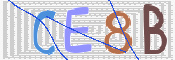 キャプチャ画像