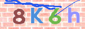 キャプチャ画像