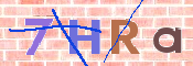 キャプチャ画像