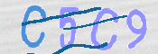 キャプチャ画像