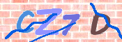キャプチャ画像