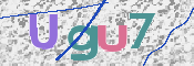 キャプチャ画像