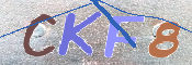 キャプチャ画像