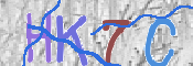 キャプチャ画像