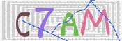 キャプチャ画像