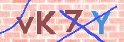 キャプチャ画像