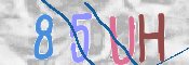 キャプチャ画像