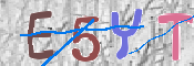 キャプチャ画像