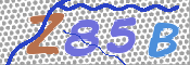 キャプチャ画像