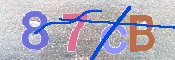 キャプチャ画像