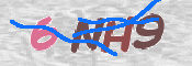 キャプチャ画像