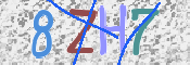 キャプチャ画像