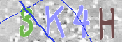 キャプチャ画像