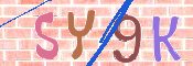 キャプチャ画像