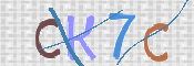 キャプチャ画像