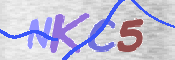 キャプチャ画像