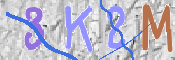 キャプチャ画像