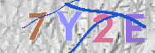 キャプチャ画像