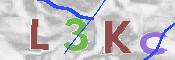 キャプチャ画像