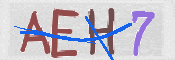 キャプチャ画像
