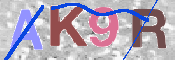 キャプチャ画像