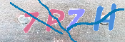 キャプチャ画像