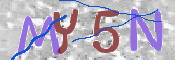 キャプチャ画像